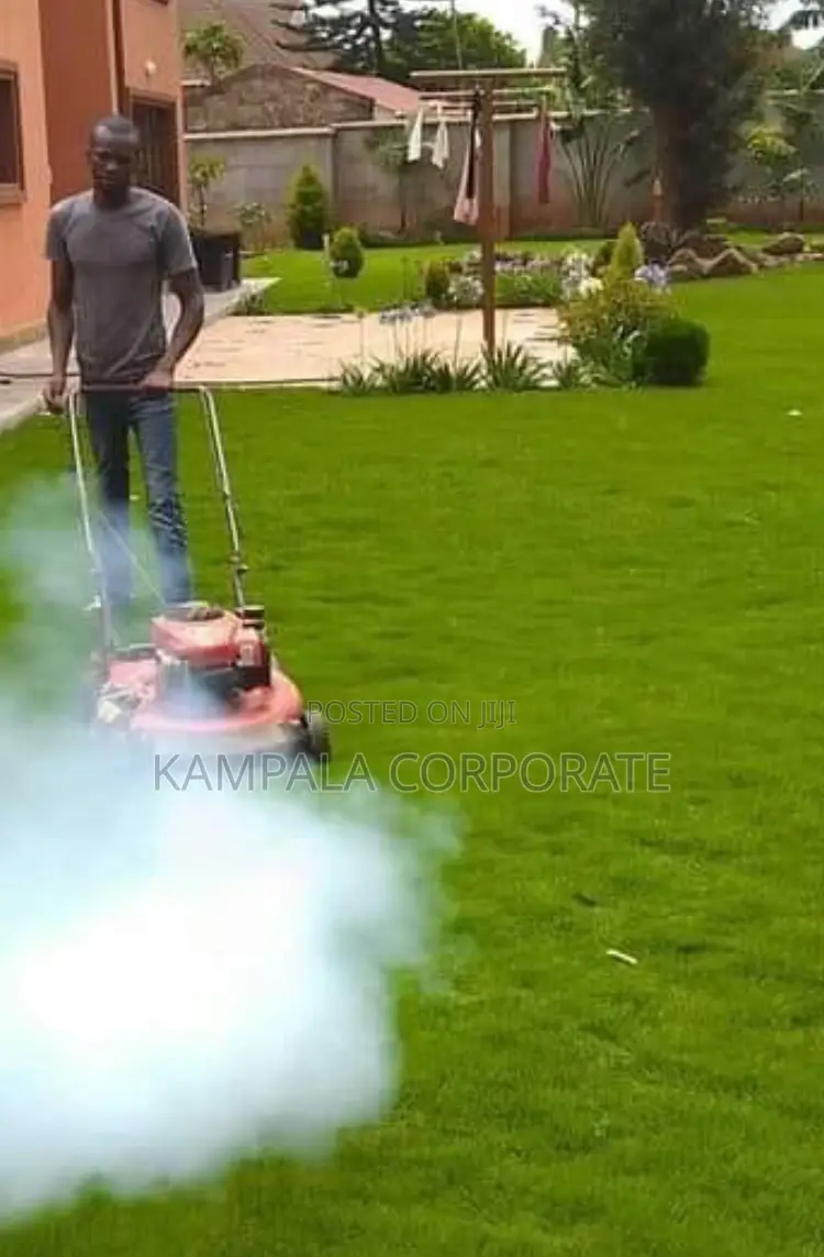 Types of Compound Grass for Sale