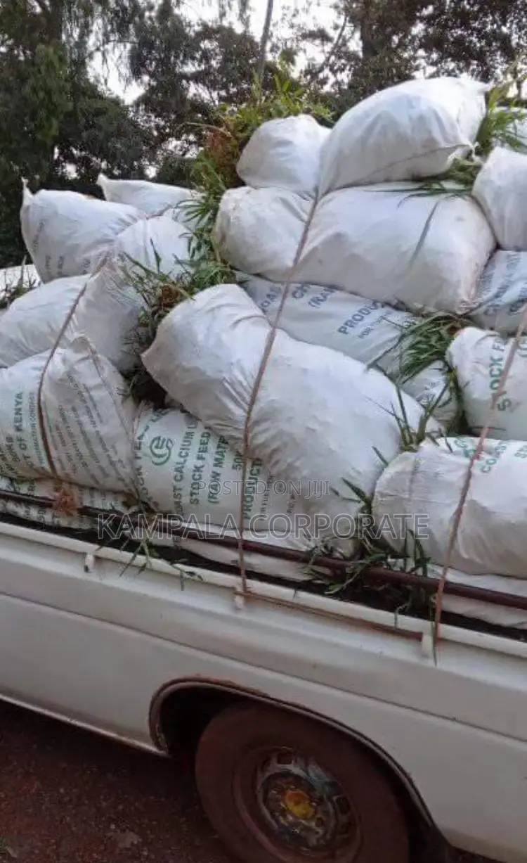 Types of Compound Grass for Sale