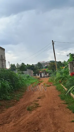 Busubuzi Land Zion Estate,11.5 Decimals (100by50)