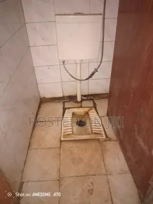 Toilet Deep Cleaning