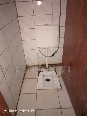 Toilet Deep Cleaning
