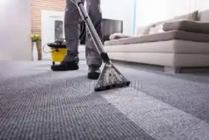 Roof Tile Cleaning Services