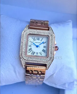 Carter Silver Brown Ice Watch