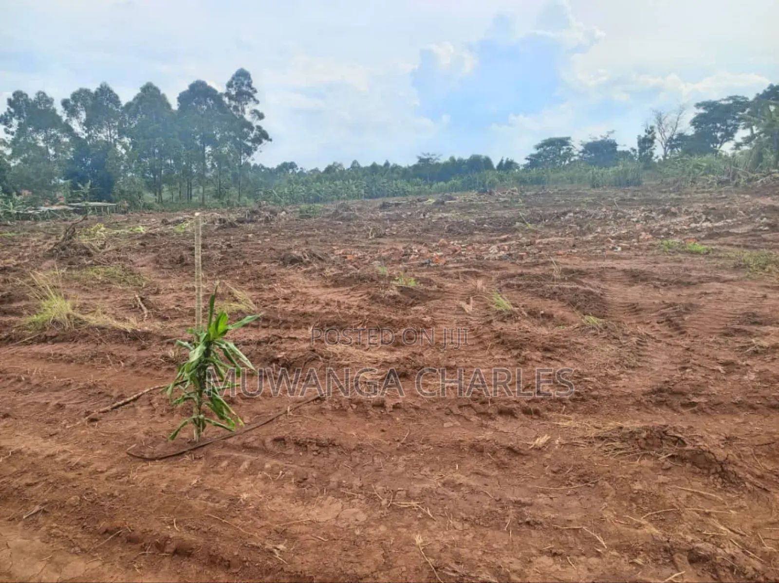 Plot's for Sale in Gayaza