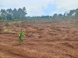 Plot's for Sale in Gayaza