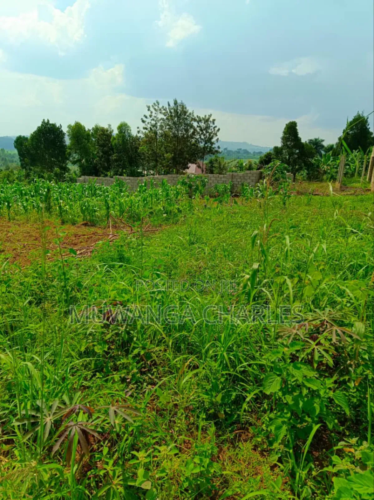 Plot's for Sale in Gayaza