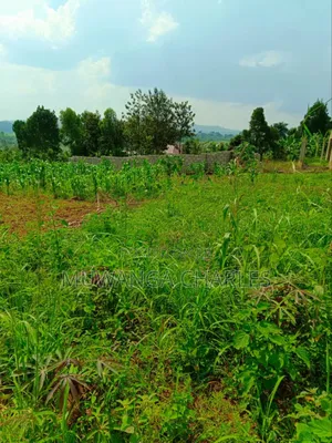 Plot's for Sale in Gayaza