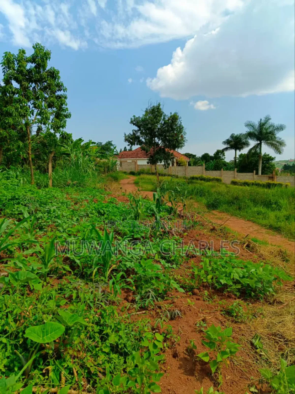 Plot's for Sale in Gayaza