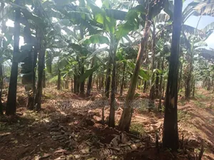 Land for Sale in Zirobwe
