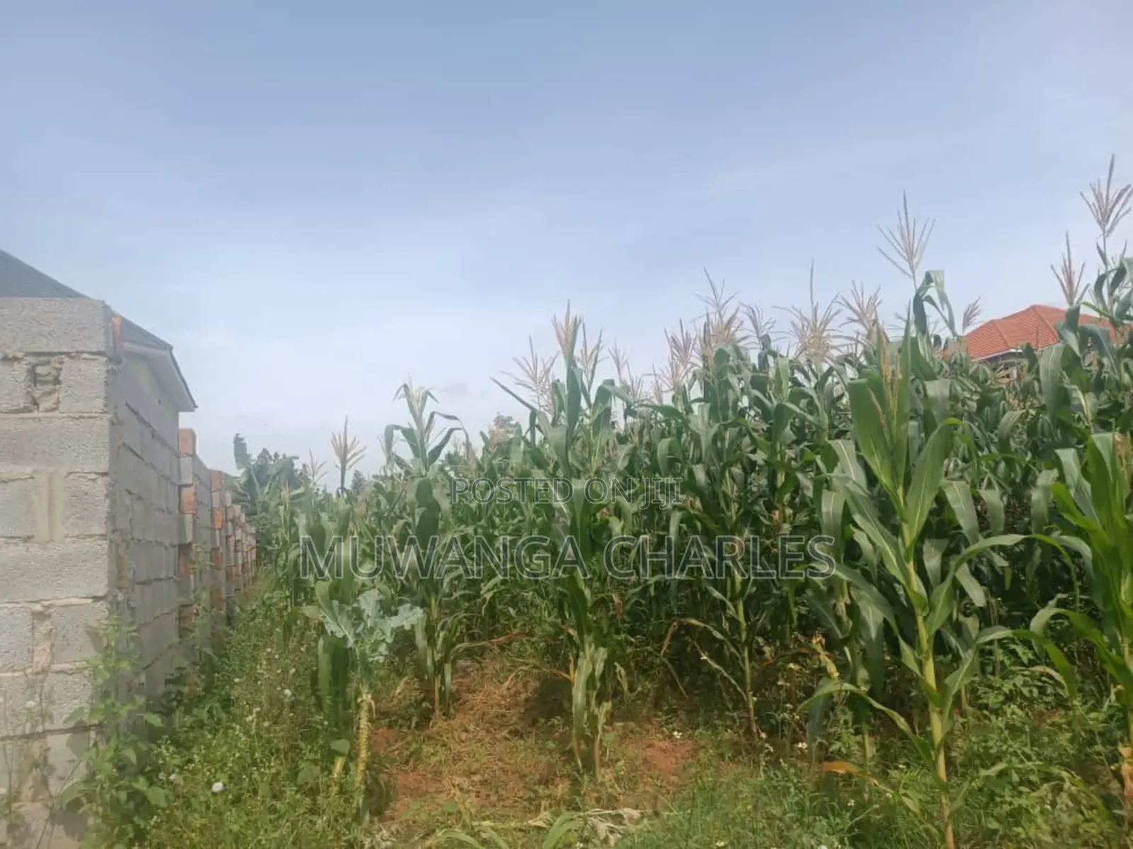 Land for Sale in Zirobwe