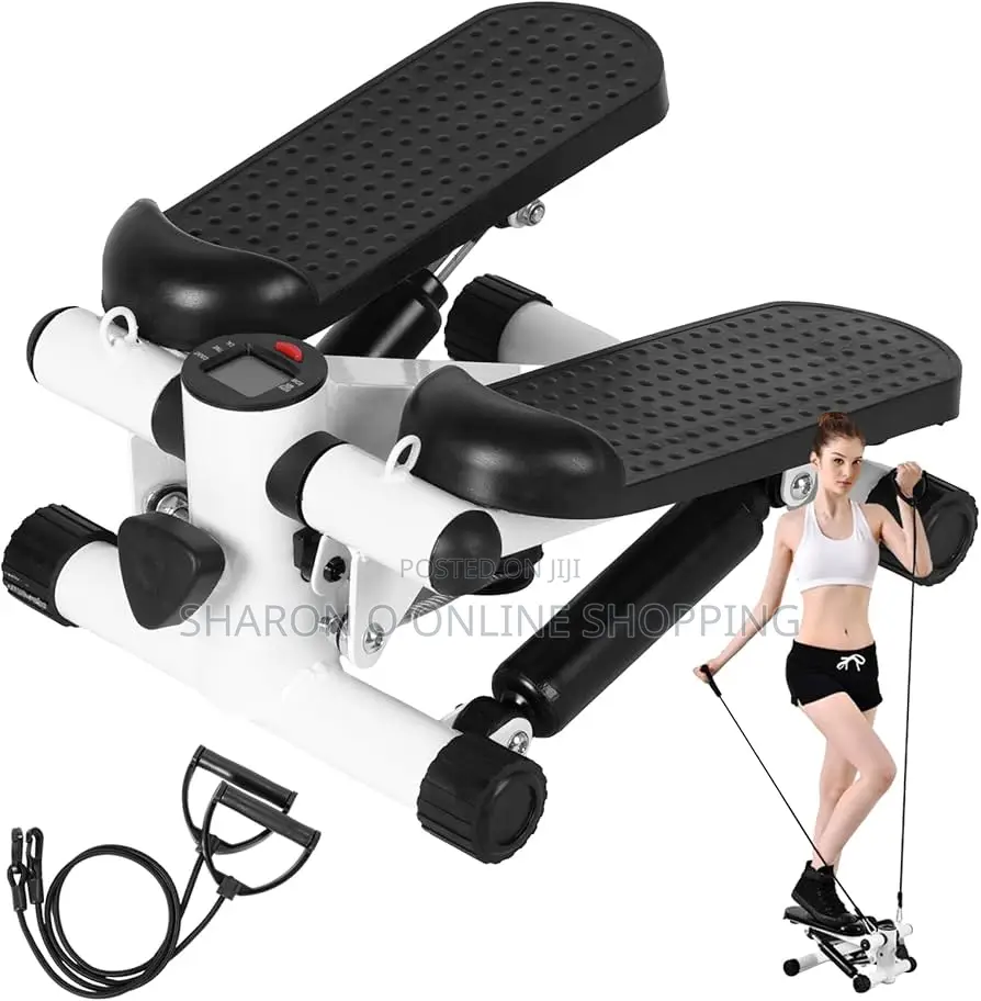 2 in 1 Mini Stepper