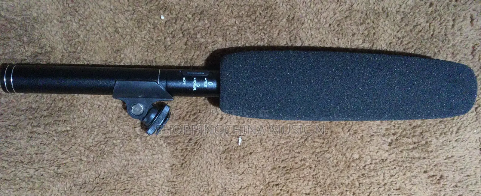 Boom Microphone