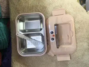 Fancy Thermal Lunch Boxes