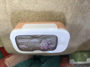 Classy Lunch Boxes