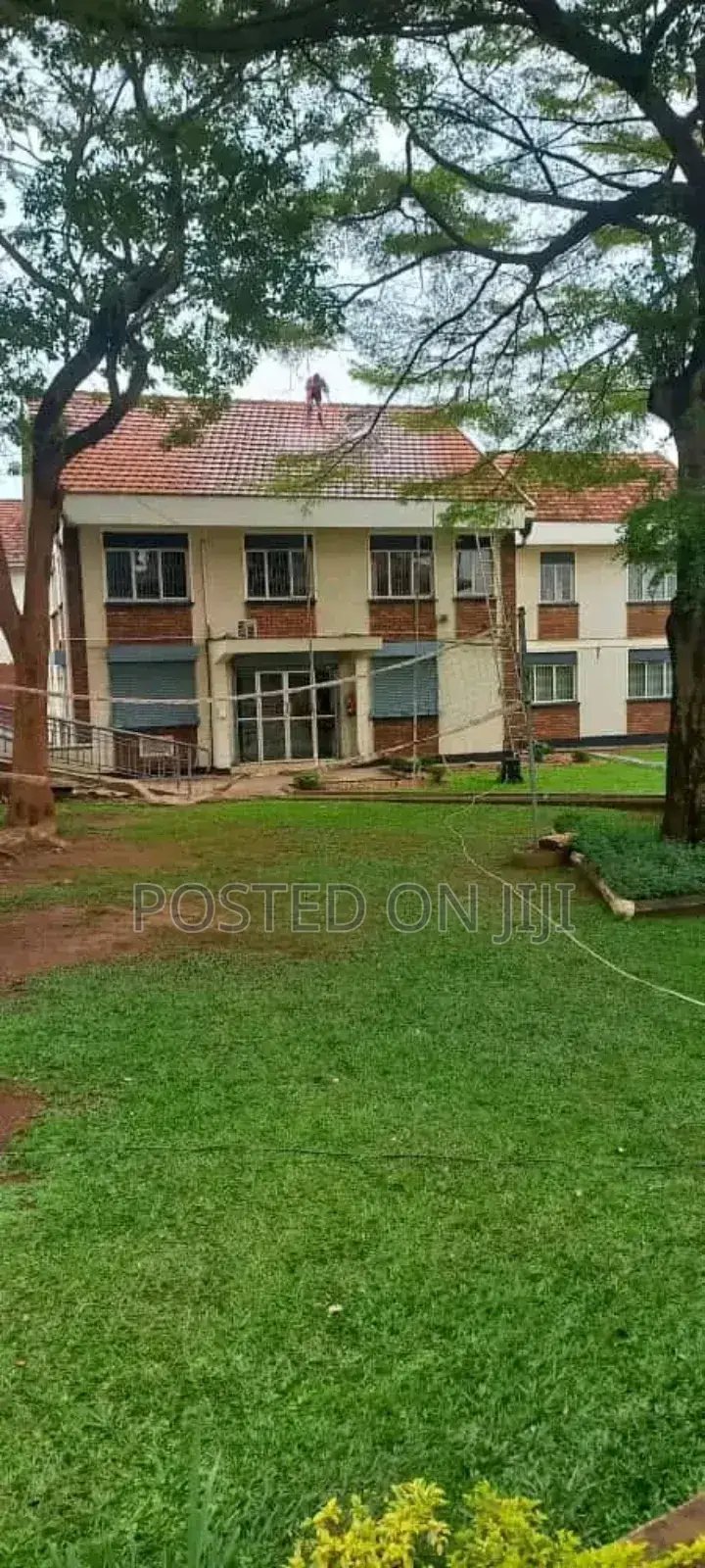 Roof Tile Cleaning Services