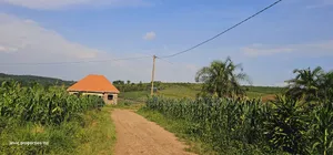 Grow Your Wealth Through Investing in Land