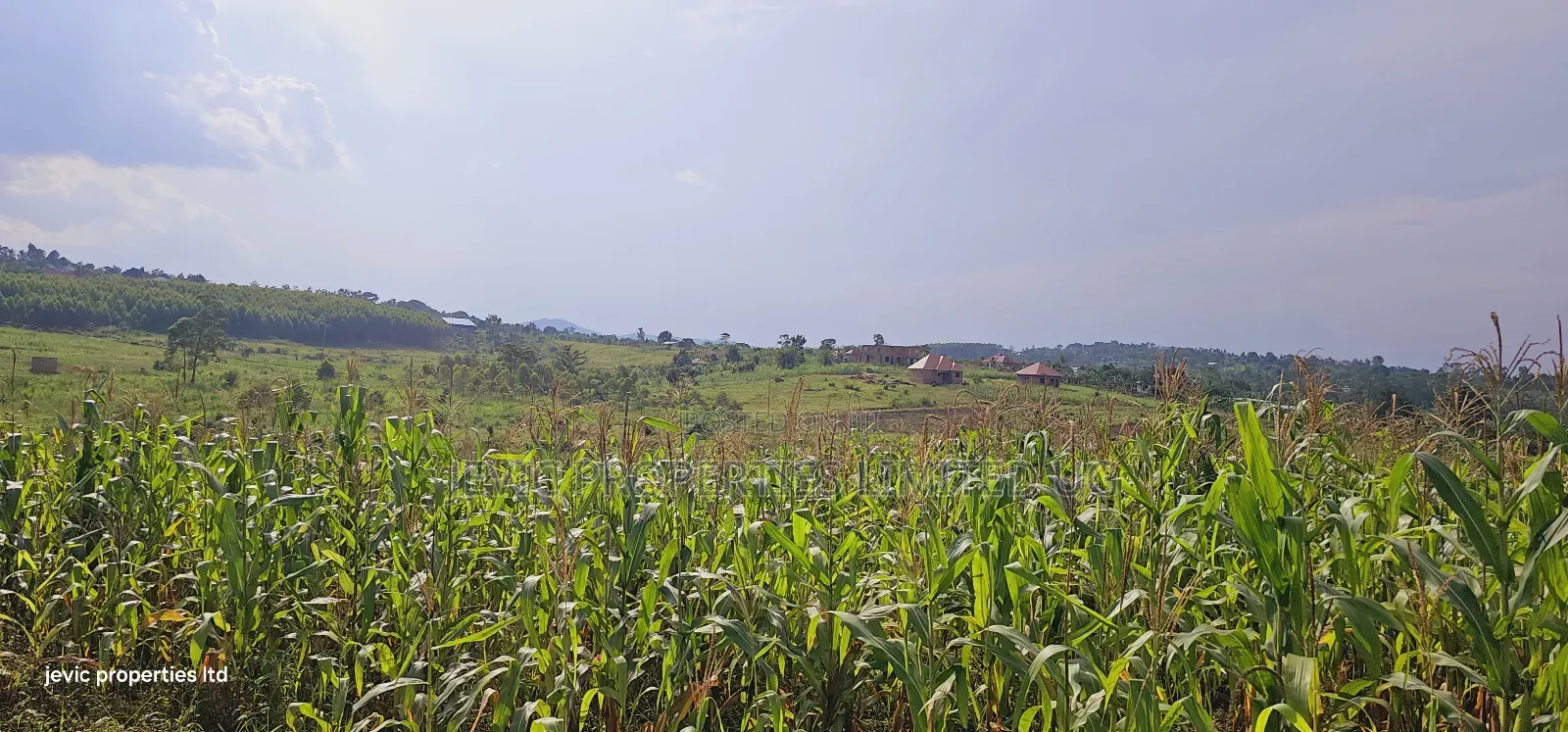 Grow Your Wealth Through Investing in Land