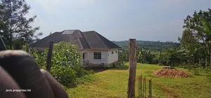 Grow Your Wealth Through Investing in Land