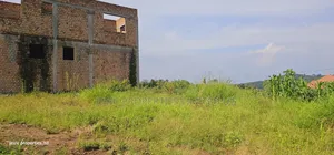 Grow Your Wealth Through Investing in Land