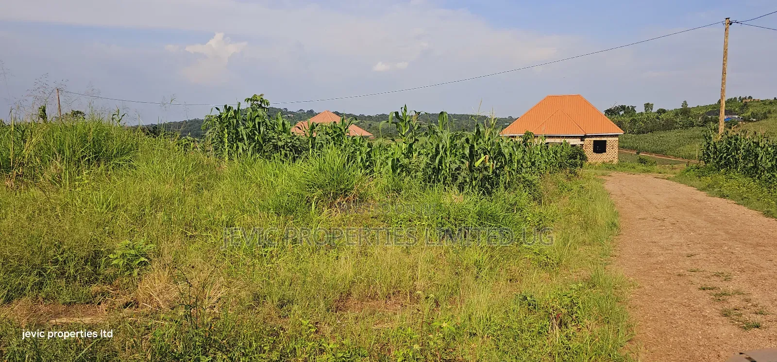 Grow Your Wealth Through Investing in Land