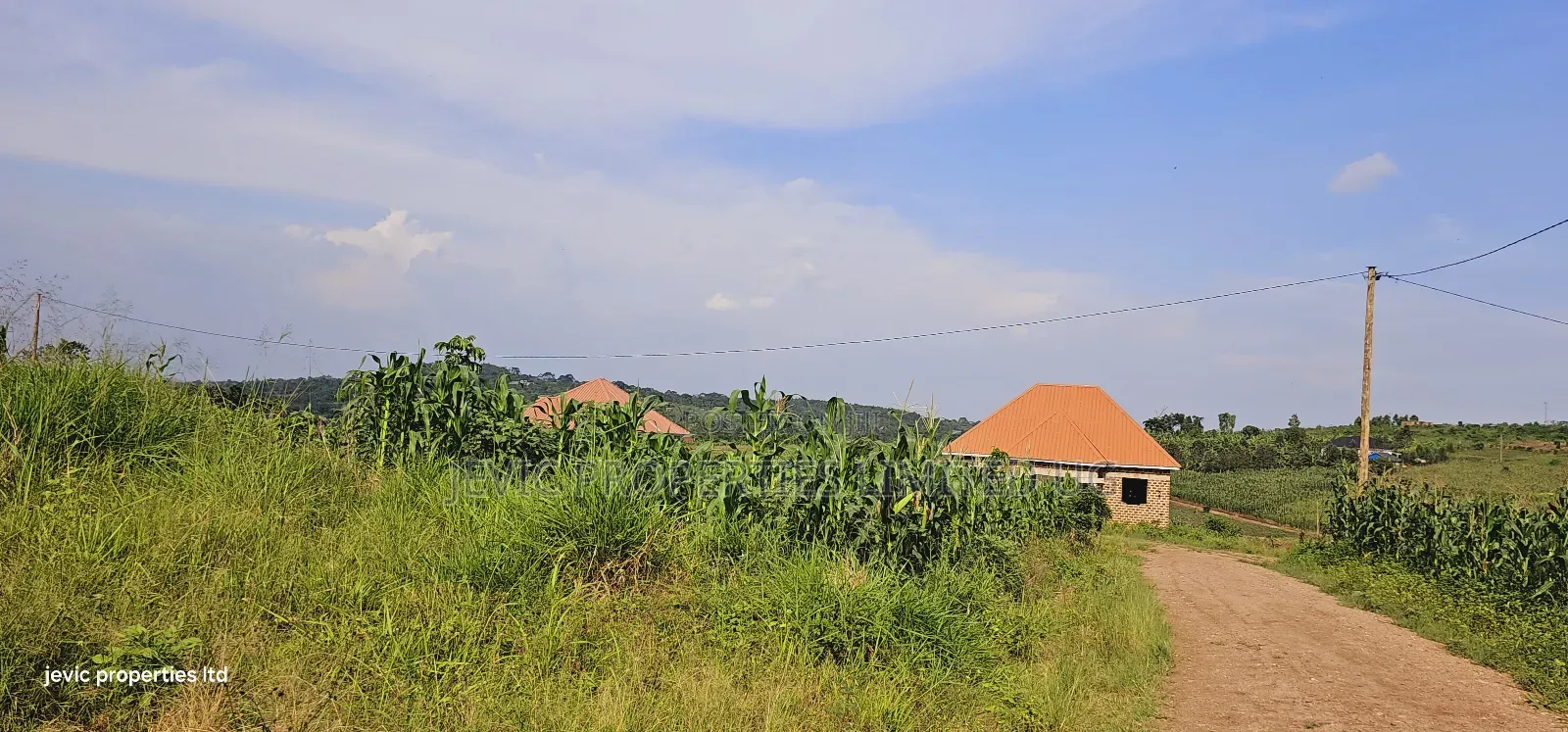 Grow Your Wealth Through Investing in Land