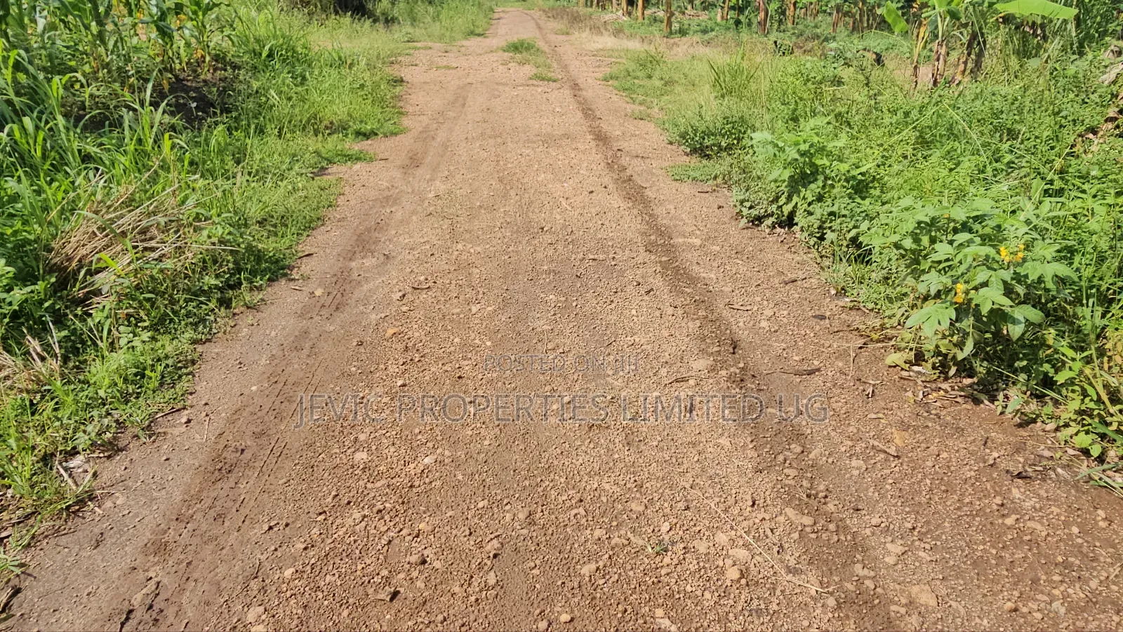 Grow Your Wealth Through Investing in Land