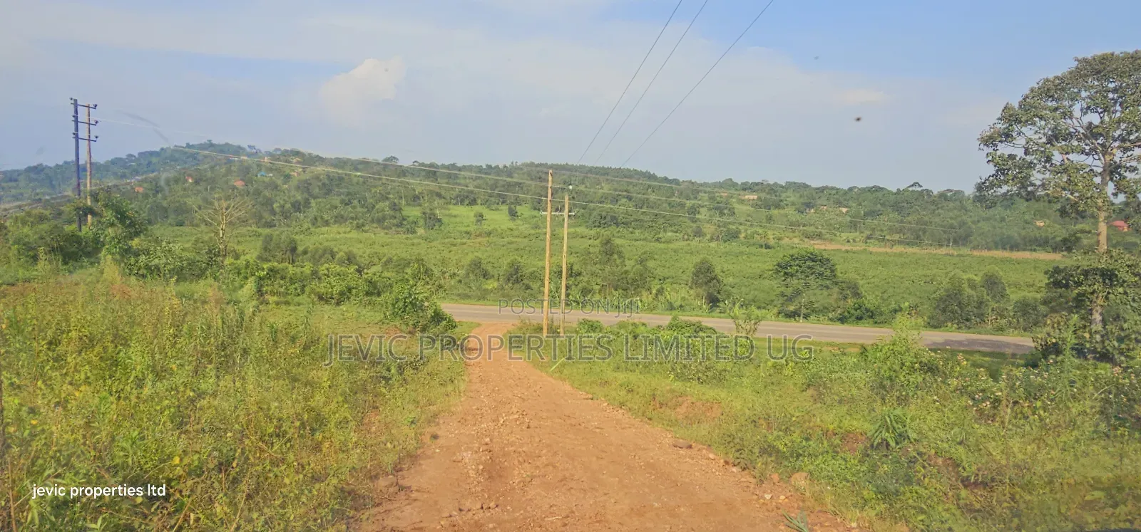 Own a Piece of Paradise: Land for Sale