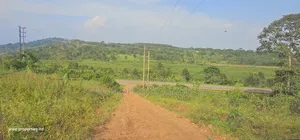 Own a Piece of Paradise: Land for Sale