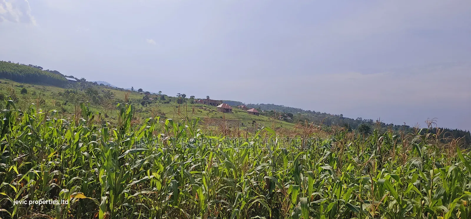 Own a Piece of Paradise: Land for Sale
