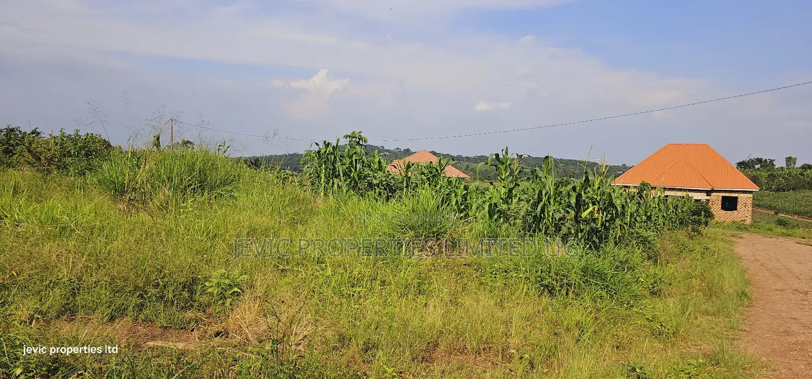 Own a Piece of Paradise: Land for Sale