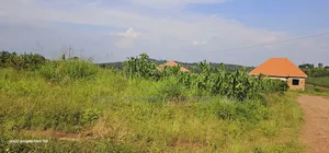 Own a Piece of Paradise: Land for Sale