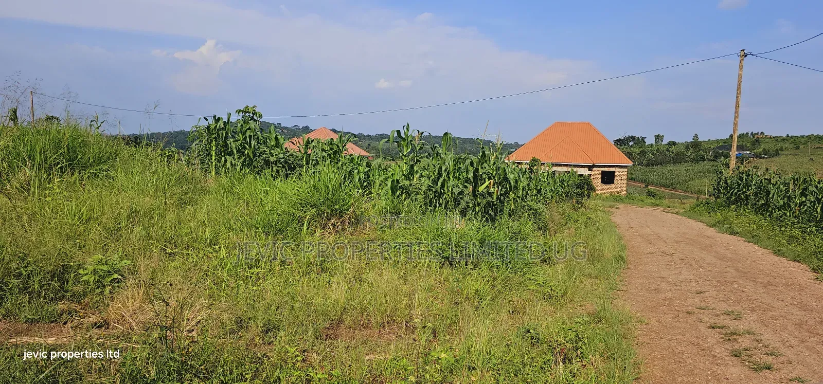 Own a Piece of Paradise: Land for Sale
