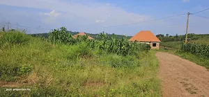 Own a Piece of Paradise: Land for Sale