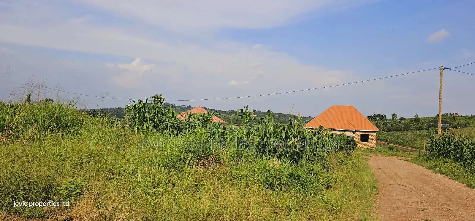 Own a Piece of Paradise: Land for Sale