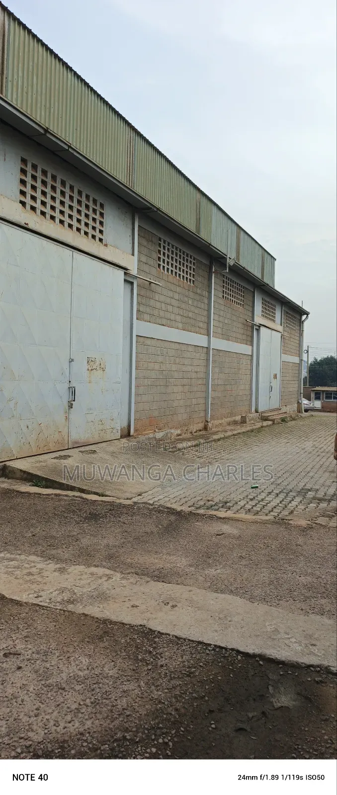 We'rehouse for Rent in Mbuya