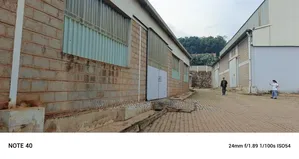 We'rehouse for Rent in Mbuya