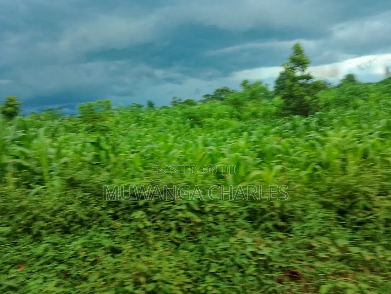 3acres I Land for Sale in Kalagala