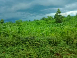3acres I Land for Sale in Kalagala
