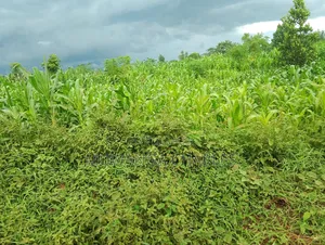 3acres I Land for Sale in Kalagala