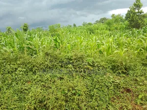 3acres I Land for Sale in Kalagala