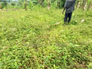 Plot for Sale in Kitetika