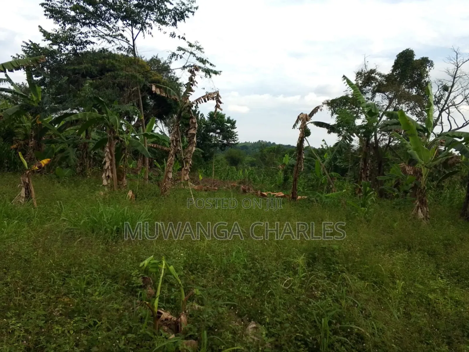 Plot for Sale in Kitetika