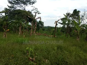 Plot for Sale in Kitetika