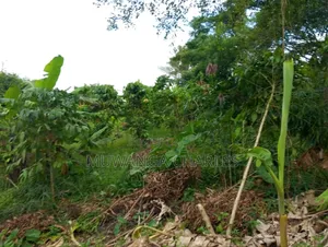 Plot for Sale in Kitetika