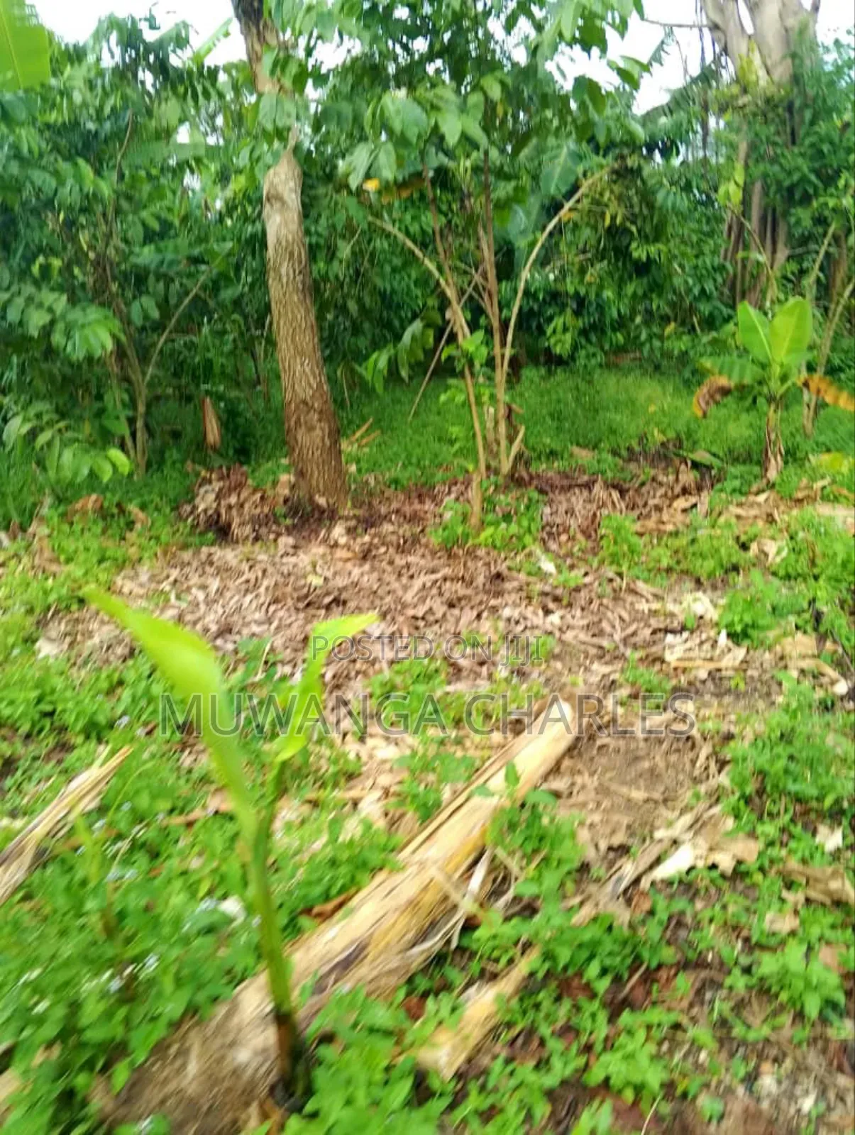 Plot for Sale in Kitetika