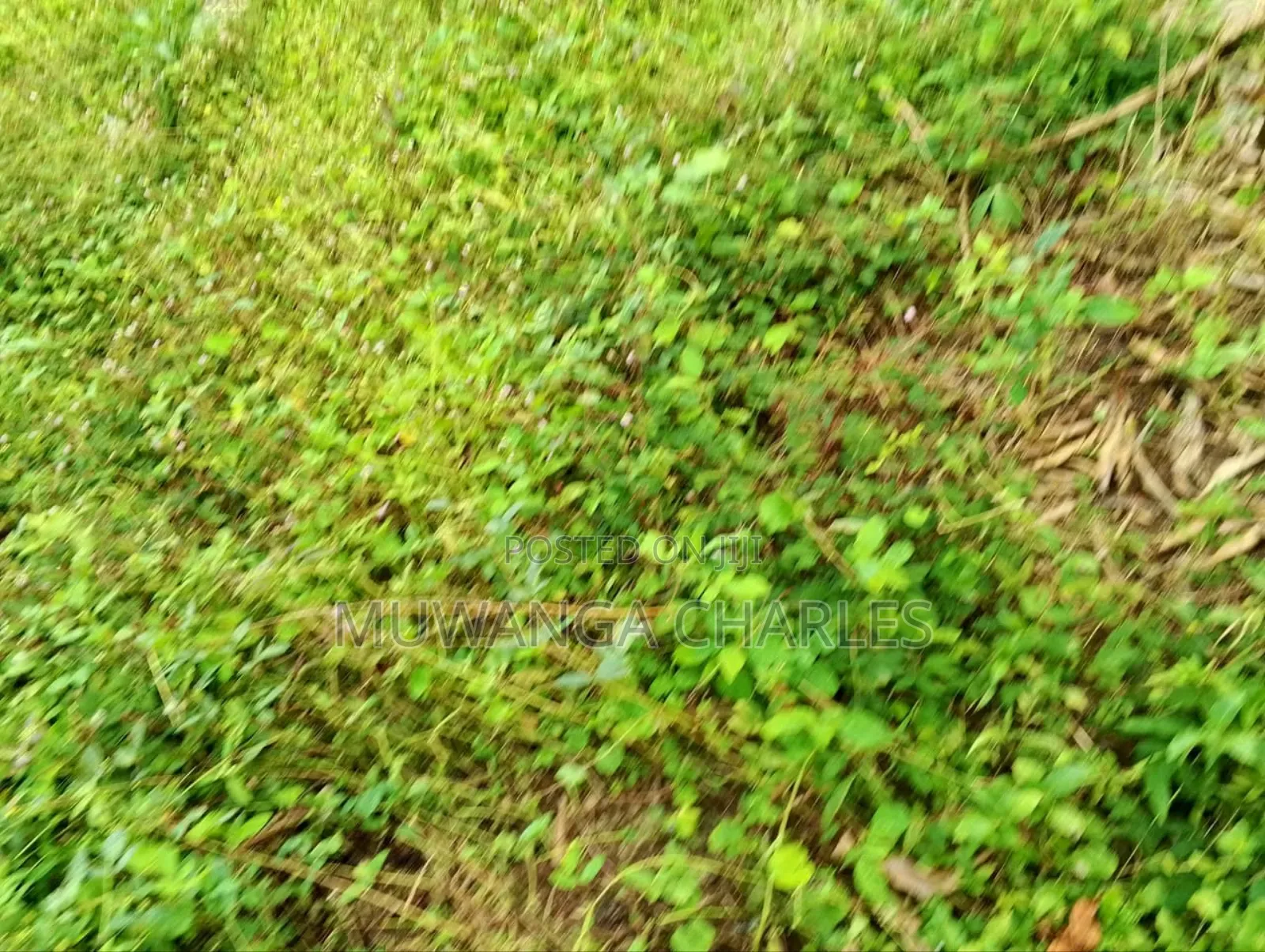 Plot for Sale in Kitetika