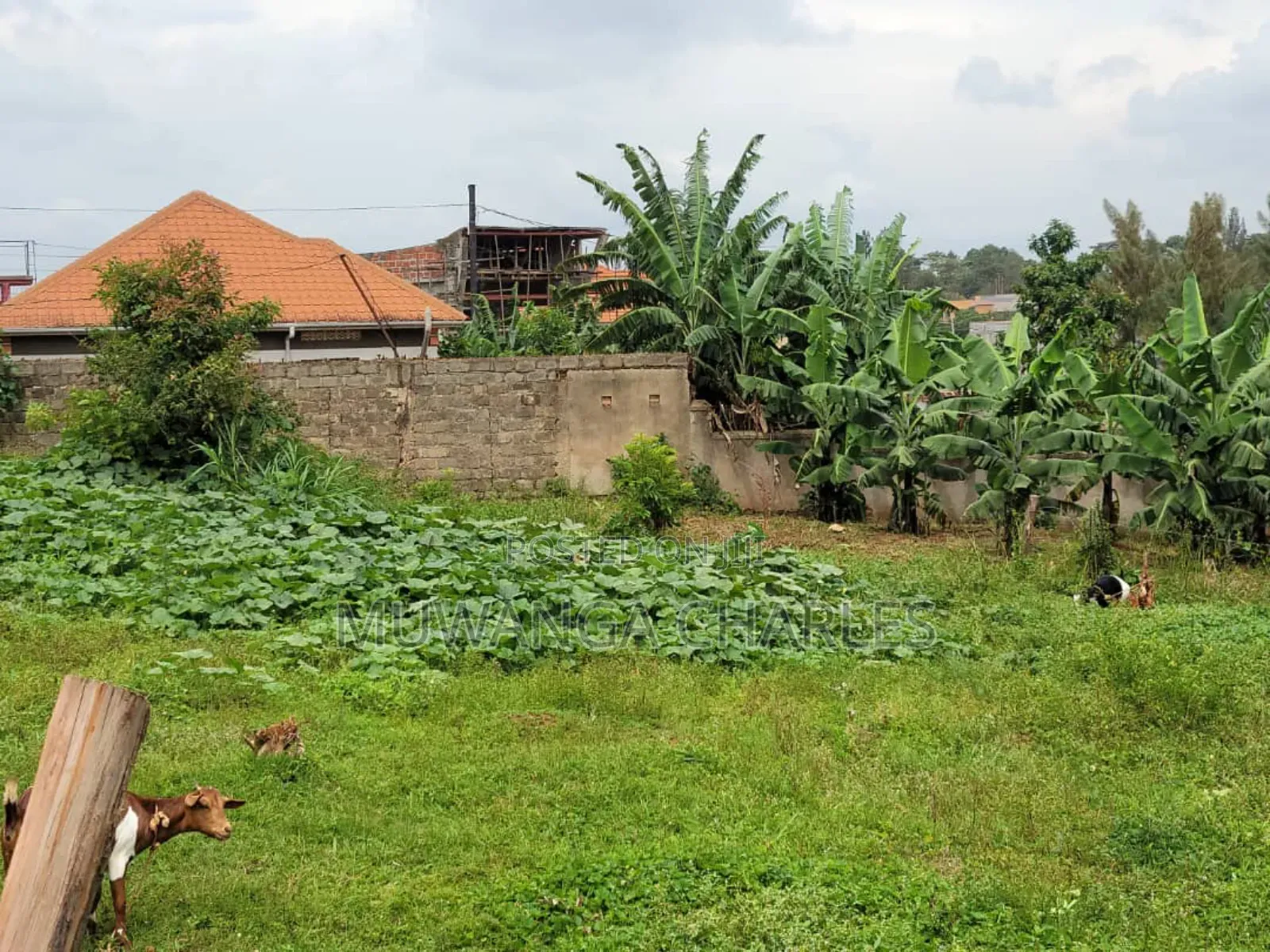 Plots for Sale in Buwaate