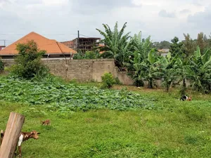 Plots for Sale in Buwaate