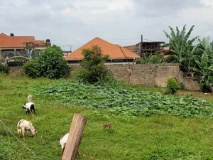 Plots for Sale in Buwaate
