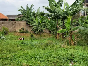 Plots for Sale in Buwaate